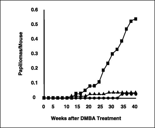 Figure 2. Tumor incidence in DMBA only–treated mice. Incidence of tumors as a function of time. Groups of line 32 K14E5 transgenic mice (▪, n = 36) and nontransgenic mice (•, n = 28) were treated with DMBA alone (0.3 μmol at week 1) and monitored for tumor formation. Incidence of spontaneous tumors untreated line 32 K14E5 mice (▴, n = 85). All tumors were collected, fixed in buffered formalin, embedded, sectioned, stained with H&E, subjected to histologic analysis, and found to be papillomas. There was a significant difference (P = 0.003) in the incidence of papillomas between DMBA only–treated and untreated K14E5 mice at the 40-week end point.