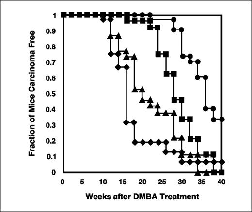 Figure 3. Carcinoma formation in K14E5 transgenic mice. Kaplan-Meier plot of tumor-free state as a function of time. Groups of nontransgenic (•, n = 32) and K14E5 transgenic (▪, line 32, n = 24; ▴, line 33, n = 30; ⧫, line 614, n = 24) mice were treated with DMBA once at week 1 and TPA twice weekly for 20 wks to efficiently induce papilloma formation. Papillomas were then followed for an additional 20 wks after TPA treatment to follow progression from papilloma to carcinomas. There was a significant difference in carcinoma formation between E5 transgenic mice and nontransgenic mice (▪, line 32, P < 6 × 10−5; ▴, line 33, P < 5 × 10−8; ⧫, line 614, 3 × 10−8).