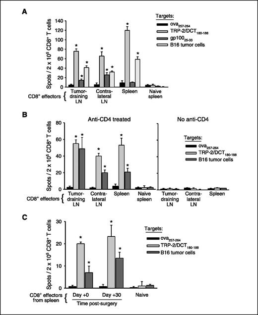 Figure 2. Functional T-cell responses to melanocyte differentiation antigen TRP-2/DCT are maintained systemically 1 mo following surgery. Mice (eight per group, pooled) received primary tumors, anti-CD4 treatment, and surgery as described in Fig. 1A, but no challenge tumors were given. IFN-γ ELISPOT was done on purified CD8 T cells taken from lymph nodes (LN) and/or spleens either (A) 9 d following surgery, (B) 30 d following surgery (with or without anti-CD4 treatment), or (C) immediately before surgery (0 day) versus 30 d following surgery (spleens only). Naive splenocytes were used as a negative control in each ELISPOT. As specified in each panel, either EL-4 cells pulsed with the specified MHC I–restricted peptide epitopes or irradiated B16 cells were used as targets in the assays. Columns, average of four replicate wells per sample; bars, SD. *, P < 0.05, compared with the responses to irrelevant ova peptide. Each ELISPOT was conducted at least twice with similar results.