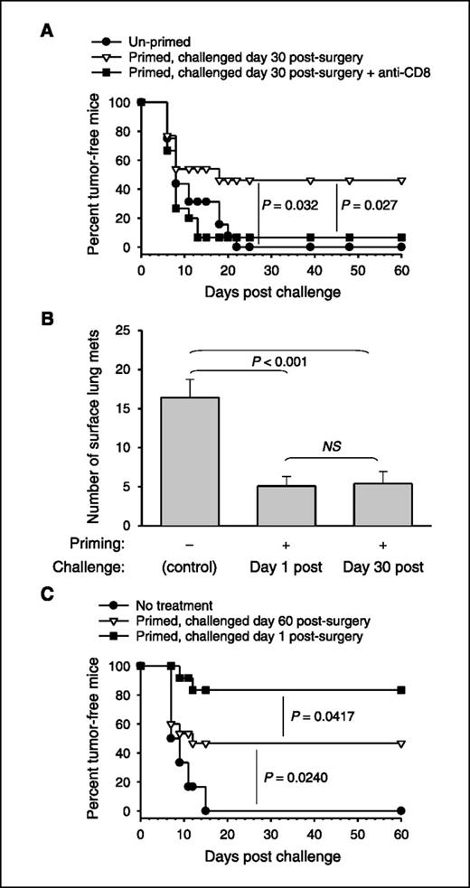 Figure 5. Tumor-primed memory T cells provide long-lived systemic tumor protection following surgery. As shown, mice either received no treatment (Un-primed) or were primed by B16 i.d. primary tumors, anti-CD4 treatment, and surgery as shown in Fig. 1A (Primed). Growth of challenge tumors. A, challenge tumors were given i.d. 30 d following surgery. One group of mice also received anti-CD8 on days −2, +5, and +12 relative to the challenge tumor inoculation. B, challenge tumors were given i.v. 1 or 30 d following surgery. C, challenge tumors were given i.d. 1 or 60 d following surgery. All experiments involved 10 to 16 mice per group, and statistical significance was determined by log-rank analysis (A and C) or two-tailed Student's t test (B). NS, no significance (P > 0.05).
