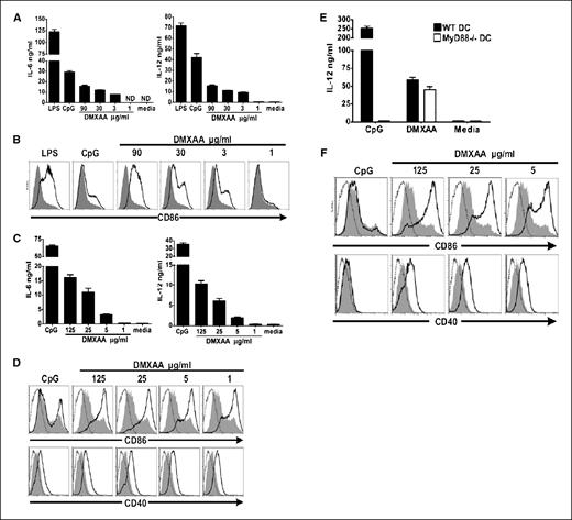 Figure 4. DMXAA directly induces DC proinflammatory cytokine production and costimulatory molecule expression in vitro in a MyD88-independent fashion. A, mouse BMDC were cultured in the presence or absence of LPS (100 ng/mL), CpG DNA (0.5 μmol/L), or graded concentrations of DMXAA. After 24 h, supernatants were collected and IL-6 (left) and IL-12 (right) concentrations were determined by ELISA. B, mouse BMDC were cultured under the conditions described above for 24 h and analyzed by flow cytometry for CD86 expression. C and D, experiments similar to the one above were done using an enriched BMDC preparation purified by anti-CD11c–positive selection, cultured in the presence or absence of CpG DNA (0.5 μmol/L), or graded concentrations of DMXAA (>93% CD11c+ cell preparation). Flow was also done for CD40. All data are representative of at least three experiments. Solid histogram line, indicated treatment response. Shaded histogram overlay, untreated control (media only). Dotted line, isotype control. ND, none detected. E, BMDC were derived from wild-type and MyD88−/− mice and purified by anti-CD11c–positive selection (>93% CD11c+ cell preparation). Cells were cultured in the presence or absence of CpG DNA (0.5 μmol/L) or graded concentrations of DMXAA. After 24 h, supernatants were collected, and IL-12 concentrations were determined by ELISA. F, MyD88−/− BMDC were cultured for 24 h in the presence or absence of CpG DNA (0.5 μmol/L) or graded concentrations of DMXAA and then analyzed by flow cytometry for CD86 and CD40 expression. All data are representative of at least three experiments; solid histogram line, indicated treatment response; shaded histogram overlay, untreated control (media only); dotted line, isotype control.