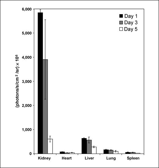 Figure 5. Biodistribution analysis. Signal in normal organs at 1, 3, and 5 d after injection of 100 μL of 20 μmol/L CTX:Cy5.5. Columns, mean of three replicates; bars, SE.