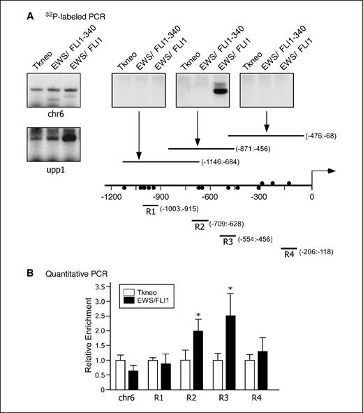 Figure 3. ChIP assay showing in vivo interaction of EWS/FLI1 and regions of the murine TSP2 promoter. A, 32P-labeled PCR analysis of the murine TSP2 promoter regions following a two-step anti-FLAG immunoprecipitation of nuclear lysates from NIH3T3 cells expressing epitope-tagged EWS/FLI1, EWS/FLI1R340N, or empty vector. Chromosome 6 (chr6) ChIP is included for loading control. upp1, positive control, showing enrichment with EWS/FLI1 immunoprecipitation, but not with R340N mutant or empty vector control. Filled circles above the horizontal line, putative FLI1 binding sites on the plus strand of the TSP2 promoter; filled circles below the horizontal line, binding sites on the minus strand of the TSP2 promoter. R1, R2, R3, and R4, the products of the qRT-PCR amplification reaction. B, qRT-PCR analysis of an independent ChIP experiment showing enrichment of the same TSP2 promoter region as shown in (A). These experiments were done in triplicates and are statistically significant (P < 0.05).
