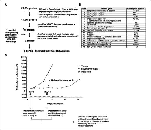 Figure 1. A, flow chart showing the discovery of a VEGFR-2 gene signature in human cancers. B, ranking of the 18 top genes found by transcriptional profiling in both human tissues and mouse xenografts. C, growth response of L2987 xenograft to treatment with brivanib alaninate. Black line, vehicle-treated tumor; gray line, brivanib alaninate–treated tumor. It is indicated in the graph when the pretreatment and posttreatment samples were collected for all of the assays.