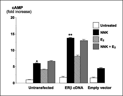 Figure 3. ERβ enhances NNK-induced cAMP activity. Transfected and untransfected HPL1D cells were stimulated with 1 μmol/L NNK for 1 h or pre-exposed to 100 nmol/L E2 for 10 min before NNK stimulation. The levels of cAMP were evaluated at 405 nm. Columns, mean fold increase of cAMP over untreated controls in untransfected cells from three different experiments, each with one sample per group; bars, SD. *, P < 0.05, compared with untransfected and untreated cells (control). **, P < 0.05, compared with untreated ERβ transfectants.