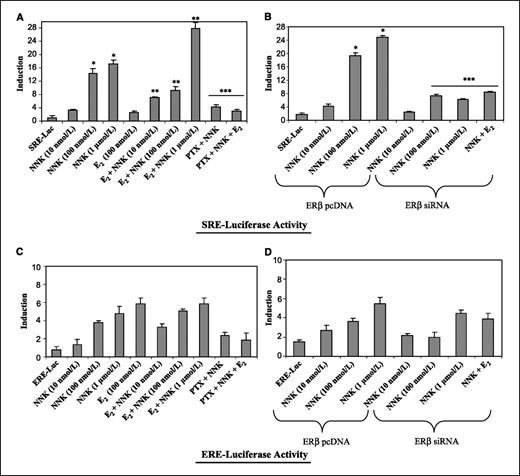 Figure 6. ERβ stimulates NNK-dependent SRE gene expression but has no marked effect on ERE activity. HPL1D cells were cotransfected with expression plasmids and stimulated as indicated. SRE luciferase activity (A and B) and ERE luciferase activity (C and D) were measured with a luminometer. Columns, mean fold inductions of luciferase activity corrected for the internal β-galactosidase from three independent experiments done in duplicate; bars, SD. *, P < 0.05, compared with untreated SRE-transfected cells (control). **, P < 0.05, compared with SRE-transfected cells treated with E2. ***, P < 0.05, compared with SRE-transfected cells treated with NNK and/or E2 and NNK.