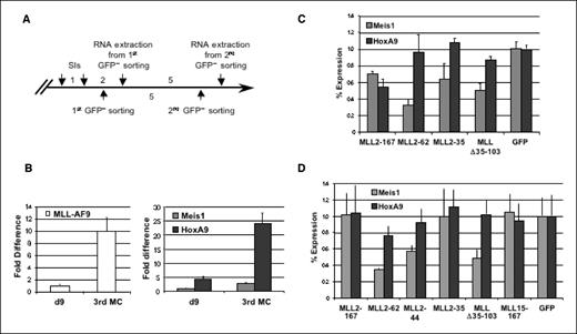 Figure 6. MLL dominant negative mutants interfere with Meis1 gene expression in MLL-AF9–transformed BM cells. A, schematic of the experimental procedure. MLL-AF9–transformed BM cells obtained from the third round of passage in methylcellulose were spin-infected (SI) with MSCV-GFP empty vector or encoding for the MLL deletion mutants indicated. The GFP-positive cells were flow-sorted at 2 and 7 d following transductions and total RNA was extracted 24 h later. B, quantitative real-time PCR comparison of MLL-AF9, Meis1, and HoxA9 expression among MLL-AF9 immortalized BM cells at 9 d posttransduction and MLL-AF9–transformed cells at the third round of passage in methylcellulose. C, quantitative real-time PCR for Meis1 and Hoxa9 expression levels normalized to Gapdh at 3 d posttransduction. D, quantitative real-time PCR for Meis1 and Hoxa9 expression levels normalized to Gapdh at 8 d posttransduction. Columns, percentages relative to MLL-AF9–transformed/MSCV-GFP vector–transduced BM cells; bars, SD.
