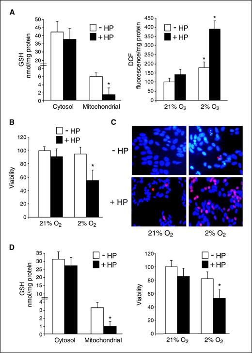 Figure 4. Selective mGSH depletion sensitizes SH-SY5Y and DLD-1 cancer cells to hypoxia. A, SH-SY5Y cells were incubated with HP and then fractionated into cytosol and mitochondria to determine GSH levels (n = 4). Afterward, cells were subjected to hypoxia for 48 h to measure ROS generation by DCF fluorescence. *, P < 0.05 versus cells without HP. B, the effect of HP on the survival was examined during hypoxia for 48 h (n = 4). *, P < 0.05 versus cells without HP. C, microscopic images of SH-SY5Y cells stained with propidium iodide and Hoechst 33528. D, colon carcinoma cells DLD-1 were incubated with HP and the compartmentation of GSH in cytosol and mitochondria analyzed. The survival of DLD-1 cells during hypoxia after HP exposure was analyzed by MTT assay (n = 3). *, P < 0.05 versus normoxia.