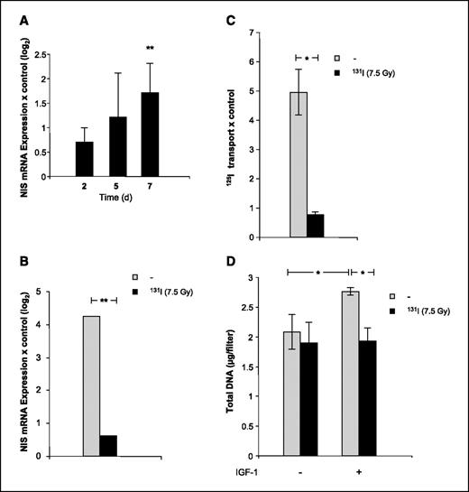 Figure 2. Effects of 131I irradiation on IGF-I–stimulated NIS mRNA expression, iodide transport, and cell proliferation. Thyroid cells were stimulated with 10 ng/mL IGF-I and irradiated identically to that indicated for TSH-treated cultures in Fig. 1. A, time-dependent stimulation of NIS transcription by IGF-I (n = 4 for 2 d, n = 6 for 5 d, and n = 3 for 7 d). B, representative graph of 131I-induced inhibition of NIS mRNA expression stimulated by IGF-I after 5 d (n = 2). C, 131I-induced inhibition of 125I− transport stimulated by IGF-I after 5 d (n = 2). D, 131I-induced inhibition of IGF-I–stimulated increase in cell number estimated by quantification of total DNA content (n = 2). **, P ≤ 0.001, REST analysis; *, P ≤ 0.05, Student's t test.