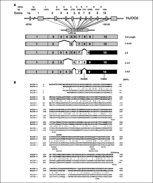 Novel Tryptophan Catabolic Enzyme IDO2 Is the Preferred Biochemical ...