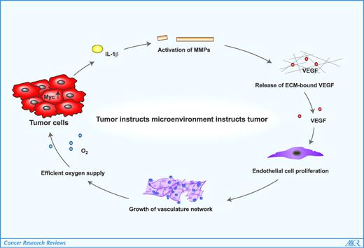 Figure 1. Tumor instructs microenvironment instructs tumor. Oncogenic activation of Myc in tumor cells triggers expression and release of the inflammatory cytokine IL-1β. IL-1β, in turn, activates metalloproteinases that release extracellular matrix (ECM)–bound VEGF, flicking the angiogenic switch. The elaborating vasculature promotes further tumor growth and survival, effectively engaging a mutually supportive reciprocal interaction that, nonetheless, requires continuous Myc activity for its maintenance.