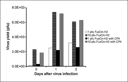 Figure 1. Virus replication in LLC cells in vitro with or without cyclophosphamide (CPA) addition. LLC cells seeded into 24-well plates were infected with FusOn-H2 at either 1 or 10 pfu/cell. The infected cells were then cultured in medium with or without the activated form of cyclophosphamide at a concentration of 3 μmol/L. Cells were harvested at the indicated times after infection, and the virus yield was determined by plaque assay. There was no statistically significant difference in virus yield with or without cyclophosphamide addition at any time point.