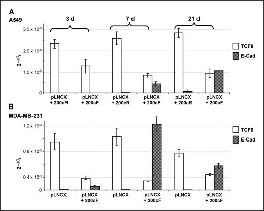 Figure 3. Relative quantitation by RT-PCR of TCF8 and E-cadherin expression. A549 or MDA-MB-231 cells expressing mature miR-200c (pLNCX + 200cF) or a nonexpressing control (pLNCX + 200cR) at 3, 7, and 21 d. A reduction in TCF8 is shown in (A) and (B); compare white columns at each time period for cells positive for miR-200c versus nonexpressing control. In A549 cells, the loss of TCF8 coincides with increased expression of E-cadherin (E-Cad; gray columns) after 7 and 21 d, respectively. In MDA-MB-321 cells, an increase in E-cadherin is observed after only 3 d in lines expressing miR-200c.