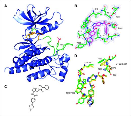Crystal Structure of the T315I Abl Mutant in Complex with the Aurora ...
