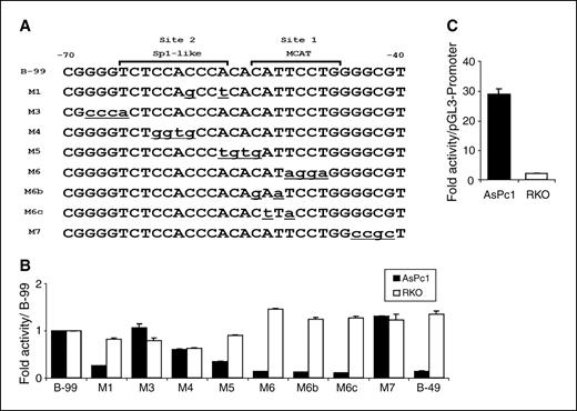 Figure 4. Two distinct functional sites of the enhancer element were determined by site-directed mutagenesis. A, mutated constructs were based on the wild-type B-99 construct. The location of proposed sites 1 and 2 is depicted. The bases mutated in various constructs are in lower case and underlined, with constructs labeled at the left. B, reporter assays done in cell line AsPc1 indicated the presence of two distinct sites within the enhancer that were both required for reporter activity in AsPc1. No significant effect of the mutations was observed in RKO. C, pCanScript3.luc containing three concatemerized copies of CanScript produced a 30-fold enhancement over a SV40 minimal promoter.