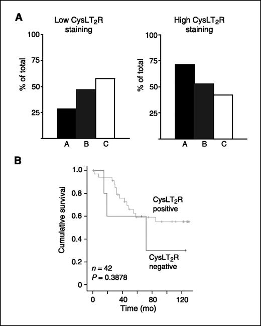 Figure 4. A, distribution of high and low staining intensities in tumors in Dukes' stages A, B, and C, based on the tumors from 77 patients included in the study. Samples were assessed according to total CysLT2R staining. B, Kaplan-Meier analysis of overall 10-y survival of patients diagnosed with colon cancer and with high expression of CysLT1R primary tumors stratified by expression of CysLT2R.