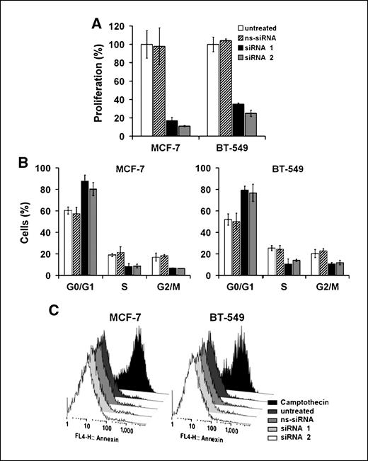 Figure 4. PLAC1 expression promotes proliferation of breast cancer cells. A, analysis of proliferation in MCF-7 and BT-549 cells 72 h after knockdown has been initiated by PLAC1-specific siRNA duplexes. B, cell cycle analysis of cells 72 h after initiation of PLAC1 silencing shown as bar chart of cell fractions in different cell cycle states. C, apoptosis of cells as determined by Annexin V staining 72 h after transfection with siRNA. As positive control for Annexin V, staining cells were treated with 6 μmol/L Camptothecin for 12 h.