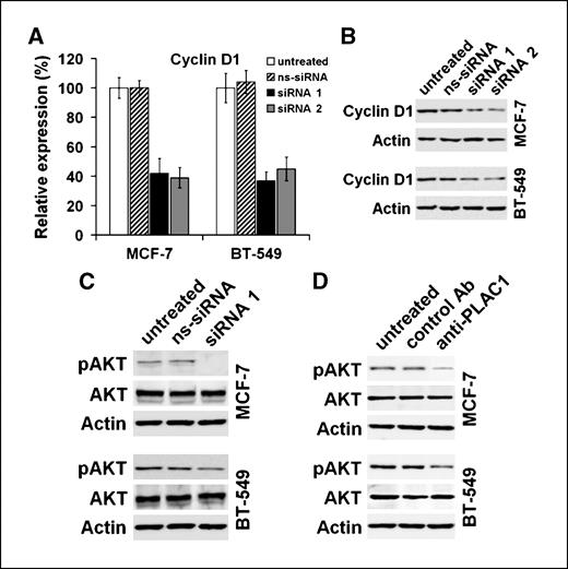 Figure 6. Cyclin D1 and AKT kinase are involved in PLAC1 function. Quantitative real-time RT-PCR analysis (A) and Western blot analysis (B) of cyclin D1 after cells were treated for 72 h with PLAC1-specific siRNA duplexes. Western blot analysis of AKT Ser-473 phosphorylation after 72 h of PLAC1 knockdown (C) and after 1 h of treatment with anti-PLAC1/C-term antibody (D).