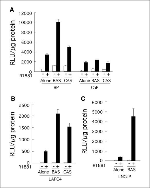 Figure 4. Altered AR and coregulator function in prostate cancer epithelia. A, altered stromal-epithelial interactions in prostate cancer primary cultures of prostate epithelial cells isolated from benign (BP) and malignant (CaP) prostate tissue were infected with 10−10 adenoviral particles/mL of Ad-MMTV-Luc reporter expression and incubated alone or in coculture with stromal cells isolated from benign or prostate cancer tissue, as indicated. Relative luciferase activity (RLU) was determined in the absence (white columns) or presence (black columns) of 5 nmol/L R1881. Columns, average of three independent experiments; bars, SE. B and C, stromal-epithelial interactions in prostate cancer cell lines metastatic prostate epithelial cells, including LAPC-4 and LNCaP cells, were infected with 10−10 adenoviral particles per mL of Ad-MMTV-Luc reporter expression and incubated alone or in coculture with stromal cells from benign (BAS) or prostate cancer (CAS). Relative luciferase activity was determined in the absence (white columns) or presence (black columns) of 5 nmol/L R1881.