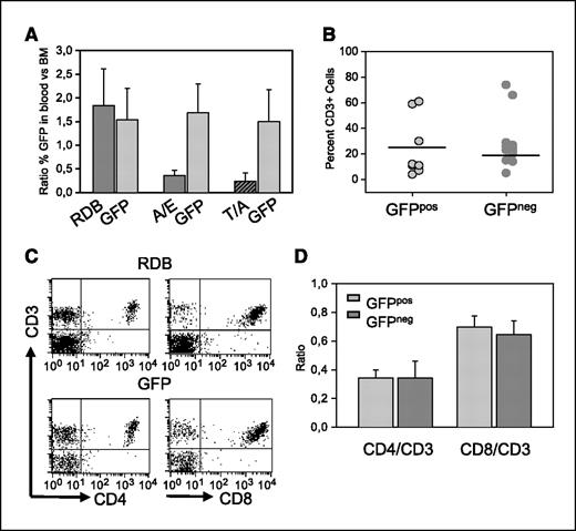 Figure 2. RDB expression does not impair differentiation of lymphoid cells into mature blood cells. A, columns, mean ratio of the percentage of GFPpos cells in the blood versus bone marrow was determined in mice receiving RDB-transduced (n = 5) or GFP-transduced (n = 7) transplants; bars, SD. For comparison, results from previous experiments in which mice receiving bone marrow transplants transduced with either AML1/ETO (A/E) or TEL/AML (T/A) and their respective GFP controls are shown (23, 29). B, the proportion of T cells expressing RDB within the transduced blood population (GFPpos) are similar to the T-cell proportion in the nontransduced blood population (GFPneg). Blood cells were stained with the CD3 antibody, and the proportion of cells within the GFP-positive and GFP-negative gates was determined. Dot, value from a single mouse. Horizontal line, mean value of all mice. C and D, no deviation in the relative proportions of CD4+ and CD8+ T cells within the RDB-expressing cell population was observed. C, representative FACS analysis of blood cells stained for CD3 and either CD4 and CD8 and gated on the GFPpos population from either RDB- or GFP-transplanted mice. D, columns, mean ratio of either CD4 or CD8 single positive cells to the total number of CD3+ cells within either the GFPpos of GFPneg pools of RDB-transduced mice (n = 7); bars, SD.