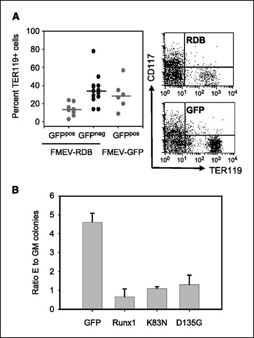 Figure 3. A decrease in the relative levels of erythropoiesis is found within the RDB-expressing population in murine bone marrow and in human cord blood cells. A, bone marrow cells of mice receiving FMEV-RDB–transduced or FMEV-GFP–transduced bone marrow were stained with the erythroid marker TER119 to determine the relative proportion of this lineage in either the transduced (GFPpos) or nontransduced (GFPneg) population. Dot, independent mouse. Vertical line, median value. Right, representative FACS data. B, human CD34+ cord blood cells transduced with indicated vector and sorted for GFP expression were analyzed by colony assays to determine their potential to differentiate into the erythroid compartment. Columns, mean ratio of erythroid [e.g., blast-forming unit (erythroid) and colony-forming unit (CFU) in culture] to myeloid (granulocyte-macrophage CFU, granulocyte CFU, and macrophage CFU) colonies from two independent experiments; bars, SE.