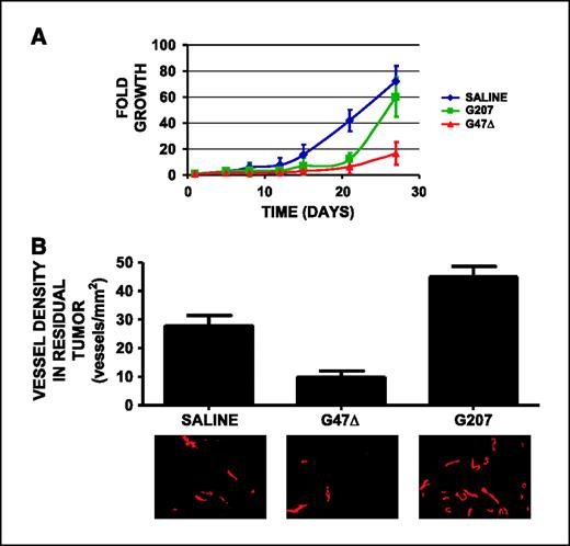 Figure 1. Treatment of s.c. U87 gliomas. A, 2 wks after s.c. U87 tumor cell implantation, when tumors had achieved volumes of 80 to 120 mm3, biweekly tumor measurements began. Two and 5 d after measurements began (treatment days 2 and 5; X axis), treatment with 5 × 106 pfu G207, G47Δ, or saline intratumorally occurred. Fold growth of s.c. U87 tumors over time. Initially, the two viruses exhibited comparable efficacy, with 13-fold growth in G207-treated tumors and 6-fold growth in G47Δ-treated tumors after 21 d, both significant reductions compared with the 42-fold growth seen in saline-treated tumors at this time (P = 0.0003). However, after 27 d, G47Δ treatment was more effective than G207, resulting in 15-fold growth, compared with 60-fold growth with G207 (P = 0.0002) and 80-fold growth with saline-treated tumors. There were five mice per treatment group. Bars, SD. B, vessel density of residual s.c. U87 tumors after treatment day 27. The microvessel density of G207-treated tumors was significantly higher than that of saline- or G47Δ-treated tumors (P = 0.00007). Columns, upper panel, vessel density in residual tumor; bars, SD; lower panel, representative immunofluorescence anti-V WF–stained microvessels (red).