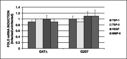 Figure 2. Assessing the effect of oncolytic HSV infection on the transcripts for TSP-1, TSP-2, VEGF, and MMP-9. mRNA was isolated from cultured U87 cells 6 h after infection with G47Δ or G207 at MOI of 3, and transcript levels were determined by real-time RT-PCR using 18S rRNA as a control. There was no significant change in the mRNA levels of the assessed transcripts (P > 0.5). Similar results were obtained 24 h after infection (data not shown).