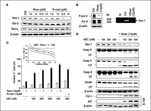 Figure 1. CDK inhibitors interact with ABT-737 to induce mitochondria-related apoptotic signaling events in association with down-regulation of Mcl-1. A, U937 cells were exposed to 7.5 to 15 μmol/L of either roscovitine (Rosc) or R-roscovitine (R-rosc), after which immunoblot analysis was done to monitor expression of Bcl-2, Bcl-xL, and Mcl-1. B, immunoblot analysis was conducted to assess phosphorylation status of pol II (P-pol II) CTD after 24 h of treatment with roscovitine (12 μmol/L). Alternatively, total RNA was extracted, and RT-PCR was done to monitor Mcl-1 mRNA levels. C, U937 cells were treated with 150 to 750 nmol/L ABT-737 (ABT) ± 12 μmol/L roscovitine or 300 nmol/L ABT-737 ± 12 μmol/L R-roscovitine for 24 h, after which flow cytometry was conducted to determine the percentage of apoptotic cells (Annexin V+). Moreover, U937 cells were exposed (24 h) to varying concentrations of ABT-737 and roscovitine alone and in combination at fixed ratio 1:100. At the end of this period, the percentage of Annexin V+ cells was determined for each condition, and median dose-effect analysis was then employed to characterize the nature of the interaction between these agents (inset). Combination Index (C.I.) values <1.0 denote a synergistic interaction. Representative for three separate experiments. D, U937 cells were exposed (24 h) to 150 to 500 nmol/L ABT-737 ± 12 μmol/L roscovitine, and immunoblot was then done to evaluate expression of Mcl-1 as well as cleavage of caspases (casp) and PARP. Alternatively, S-100 cytosolic fractions were prepared and subjected to immunoblot analysis. Primary antibodies were employed as indicated. CF, cleavage fragment; Cyt c, cytochrome c. A, B, and D, representative results from one experiment, and two additional studies yielded equivalent results.