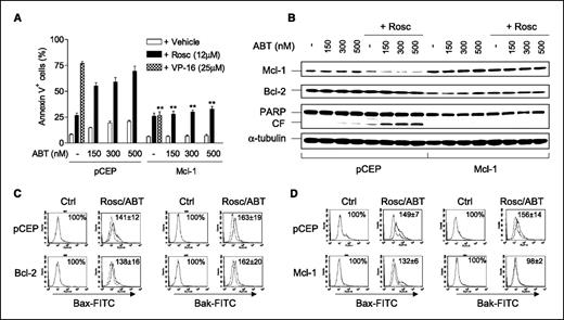 Figure 5. Ectopic expression of Mcl-1, but not Bcl-2, diminishes Bak activation and potentiation of apoptosis in cells coexposed to ABT-737 and roscovitine. A, U937/Mcl-1 and its empty-vector control (U937/pCEP) cells were exposed to 150 to 500 nmol/L ABT-737 ± 12 μmol/L roscovitine (24 h) or 25 μmol/L VP-16 (6 h) for comparison, after which the percentage of Annexin V+ cells was determined by flow cytometry. **, P < 0.001, significantly less than values for U937/pCEP cells. B, U937/Mcl-1 and U937/pCEP cells were treated (24 h) with 150 to 500 nmol/L ABT-737 ± 12 μmol/L roscovitine, and then immunoblot analysis was done to monitor expression of Mcl-1 and Bcl-2 as well as PARP cleavage. Representative for three separate experiments. C and D, U937/Bcl-2 (C) and U937/Mcl-1 (D) cells, as well as their empty-vector controls (U937/pCEP), were treated for 24 h with 300 nmol/L ABT-737 + 12 μmol/L roscovitine, after which conformational change of Bax or Bak was monitored by flow cytometry using anti-Bax (clone 3) or anti-Bak (Ab-1) antibody, respectively.