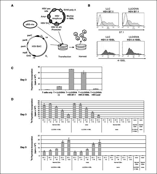 Figure 1. HSV amplicon vector encoding 4-1BBL and proliferation of CD8+ OT-1 T cells in response to HSV amplicon-transduced tumor. A, the HSV.4-1BBL amplicon plasmid DNA is packaged into helper-virus–free viral stocks using a HSV genome-containing bacterial artificial chromosome (BAC), which has its cognate HSV packaging elements (pac sequences) deleted. Vhs, or the viral host shutdown gene, is expressed from a separate plasmid (pBS-vhs) to enhance viral titers. Baby hamster kidney (BHK) cell monolayers are transfected with all three vectors, and the HSV amplicon viral particles are later harvested, concentrated, and titered for use. B, LLC/OVA and LLC tumors were transduced with HSV amplicons encoding either human B7.1 (HSV.B7.1) or murine 4-1BBL (HSV.4-1BBL) as T-cell costimulatory ligands or β-galactosidase (HSV.LacZ) as an HSV control at MOI = 1. After 2 d, the tumor cells were treated with 0.4 mg/mL mitomycin C and stained for B7.1 and 4-1BBL expression. Solid line, staining of untransduced tumor; dashed line, staining of HSV.LacZ-transduced tumor; filled histogram, staining of HSV.B7.1- or HSV.4-1BBL–transduced tumor. C, purified OT-1 T cells (105) were added to mitomycin-treated tumor cells (2 × 104) and incubated at 37°C. Thymidine was added 20 h before the plate was harvested following 3 d of coculture. Thymidine uptake of tumor cells alone was minimal. Columns, mean uptake, one of six separate experiments; bars, SD of triplicates. D, 105 total CD8+ T cells (OT-1 and/or normal CD8+ splenocytes) were incubated with or without HSV.4-1BBL–transduced LLC/OVA (5 × 104) for 3 or 5 d. Thymidine was added 19 h before harvest. Columns, mean uptake, one of two separate experiments; bars, SD of triplicates.