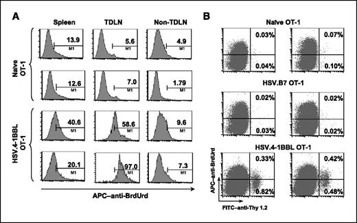 Figure 4. BrdUrd incorporation by adoptively transferred OT-1. A, Thy1.1+ mice were pulsed with BrdUrd on days 7 and 10 and sacrificed on day 12 to determine in vivo proliferation of OT-1 CD8+ cells and their distribution in the spleen, TDLNs, and non-TDLN. Numbers, percentage of BrdUrd+ cells in a CD8+Thy1.2+ gate. B, the presence of proliferating OT-1 cells in the tumor was assessed by pulsing mice on days 3 and 6 with 1 mg of BrdUrd and harvesting the tumor on day 8. Numbers indicate percentage in the lymphocyte gate. Data are representative of two experiments.