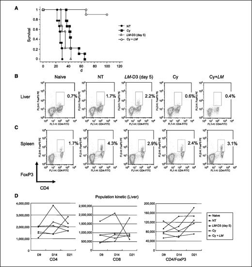 Figure 4. A, cyclophosphamide enhances LM effect. Survival of mice after tumor challenge on day 0 followed by either no treatment (NT), treatment with 100 mg/kg cyclophosphamide (Cy) on day 4, three treatments of LM-D on days 5, 8, and 11 (LM-D3), or both cyclophosphamide + LM (Cy + LM; n = 9–10 per group). P < 0.001 for cyclophosphamide + LM versus all other groups. B and C, flow cytometry analysis of infiltrating CD4+ FoxP3+ T cells into the livers of naive mice or mice that were challenged with tumor on day 0 and underwent either no treatment (NT), three treatments with LM-D on days 5, 8, and 11 (LM-D3), 100 mg/kg cyclophosphamide (Cy) on day 4, or both (Cy + LM). Five mice from each group were sacrificed on day 14 to harvest livers (B) and spleens (C) for analysis. On day 14, the mice receiving cyclophosphamide + LM had the lowest percentage of CD4+ FoxP3+ T cells within the liver but not spleen. D, kinetics of liver-infiltrating cells. Total cells/liver were enumerated on days 9, 14, and 21 for CD4+ T cells in the liver, CD8+ T cells in the liver, and CD4+ FoxP3+ cells in the liver.