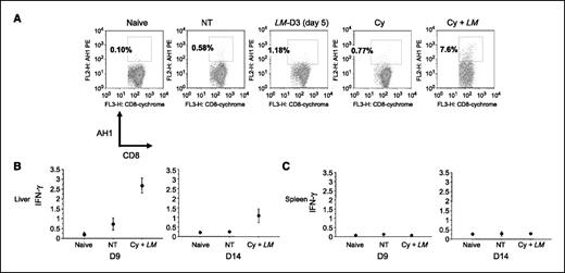 Figure 5. A, cyclophosphamide + LM increases percentage of tumor-specific CD8+ T cells in liver. Flow cytometry analysis of infiltrating tumor-specific (AH1) CD8+ T cells into the livers of naive mice or mice that were challenged with tumor on day 0 and underwent either no treatment (NT) or treatment with both cyclophosphamide (100 mg/kg) on day 4 and LM-D3 on days 5, 8, and 11 and (Cy + LM). Five mice from each group were sacrificed on day 14 to harvest liver for analysis. Treatment with both cyclophosphamide and LM-D greatly increased the percentage of tumor-specific (AH1) CD8+ T cells. B and C, cyclophosphamide + LM increases activation of tumor-specific CD8+ T cells in liver. Intracellular cytokine staining for IFN-γ by flow cytometry of CD8+ T cells infiltrating the liver (B) or spleen (C) in naive mice or mice that were challenged with tumor on day 0 and underwent either no treatment (NT) or treatment with both cyclophosphamide (100 mg/kg) on day 4 and LM-D3 on days 5, 8, and 11 and (Cy + LM). Three mice from each group were sacrificed on day 9 or day 14 to harvest liver and spleen for analysis. Treatment with both cyclophosphamide and LM-D3 greatly increased presence of intracellular IFN-γ within CD8+ T cells within the liver (B), but not the spleen (C). This effect was more significant on day 9 (P < 0.02 for cyclophosphamide + LM versus no treatment) than on day 14 (P = not significant for cyclophosphamide + LM versus no treatment).