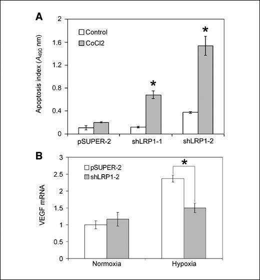 Figure 5. Effects of LRP-1 gene silencing on CL16 cell viability and VEGF mRNA expression. A, shLRP1-1 cells, shLRP1-2 cells, and pSUPER-2 cells were cultured in serum-containing medium, in the presence of 200 μmol/L CoCl2 or in the absence of CoCl2 (Control) for 24 h. Cell death was determined by ELISA for intracytoplasmic oligonucleosomes. Columns, mean; bars, SE (*, P < 0.05 as determined by t test; n = 3 separate experiments). B, shLRP1-2 cells and control pSUPER-2 cells were cultured in 1.0% or 21% O2 for 24 h. VEGF mRNA expression was determined by qPCR and normalized against HPRT1 mRNA levels. The mRNA levels are expressed relative to that present in pSUPER-2 cells, under normoxic culture conditions. Columns, mean; bars, SE (*, P < 0.05, n = 4).