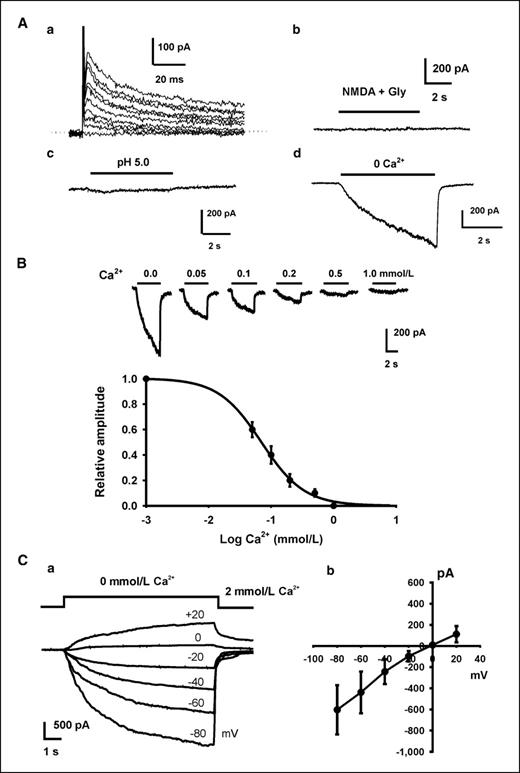 Figure 1. Activation of Ca2+-sensitive currents in FaDu cells. A, a, representative traces showing the presence of outward K+ currents in FaDu cells. Currents were activated by a series of depolarizing voltage pulses from −80 to +80 mV at an increment of +20 mV. Holding potential was −60 mV. No obvious inward current was detected at any potential, indicating the lack of voltage-gated Na+ and Ca2+ channels. b, representative trace showing the lack of NMDA currents in FaDu cells. Following a stable baseline recording, cells were perfused with NMDA (100 μmol/L) and its co-agonist glycine (3 μmol/L). c, representative trace showing the lack of acid-activated current in FaDu cells. d, a rapid drop of [Ca2+]o from 2 to 0 mmol/L (nominally free) evoked a slow nondesensitizing inward current that rapidly recovered on restoration of [Ca2+]o. Holding potential was −60 mV. B, representative current traces and summary data showing concentration-dependent inhibition of the inward current in FaDu cells by external Ca2+. Dose-response curve was fit by Hill equation with an average IC50 of 0.07 ± 0.02 mmol/L (n = 9). C, a, representative traces showing the Ca2+-sensing current activated at different membrane potentials. Currents were activated by step reductions of [Ca2+]o from 2 to 0 mmol/L over a range of holding potentials from −80 to +20 mV. Pipette solution contains 0 mmol/L Mg2+. b, summary data showing the current-voltage relationship (I-V curve) of the Ca2+-sensing current (n = 7).