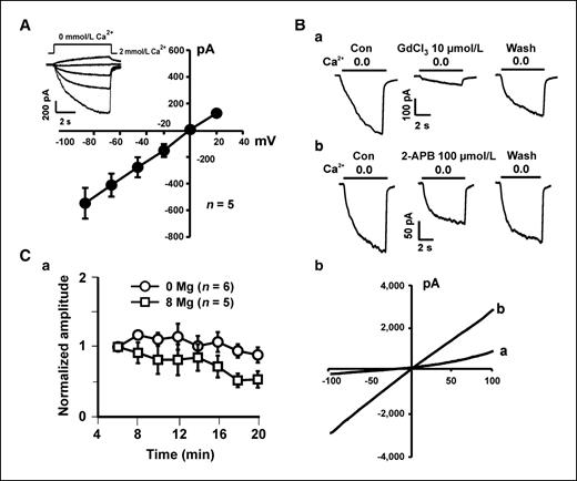 Figure 5. Electrophysiologic and pharmacologic characterization of the Ca2+-sensitive currents in SCC25 cells. A, left, representative traces (inset) and summary I-V relationship showing the Ca2+-sensitive current recorded at different holding potentials. A rapid drop of [Ca2+]o from 2 to 0 mmol/L (nominally free) evoked slow nondesensitizing currents that rapidly recovered on restoration of [Ca2+]o. B, representative traces showing inhibition of the Ca2+-sensitive current in SCC25 cells by Gd3+ and 2-APB. Addition of 10 μmol/L Gd3+ reduced the amplitude of the inward current from 535.7 ± 99.3 to 113.8 ± 87.7 pA (n = 4, P < 0.05), whereas addition of 100 μmol/L 2-APB inhibited the current from 521.3 ± 90.4 to 378.9 ± 90.9 pA (n = 5, P < 0.05). C, a, summary data showing the time-dependent inhibition of the Ca2+-sensitive current by intracellular Mg2+. The amplitude of the peak inward current activated at −60 mV was normalized to that recorded 5 min after the formation of whole-cell configuration (n = 5 and 6). The relative amplitude of the peak inward current at 20 min was 0.89 ± 0.11 and 0.54 ± 0.12 for current recorded in the absence of intracellular Mg2+ and in the presence of 8 mmol/L Mg2+, respectively (P < 0.01). b, representative I-V curve generated by depolarizing ramp pulses in the presence (a) or absence (b) of 2 mmol/L extracellular Ca2+. An outward rectification is apparent in the presence of 2 mmol/L Ca2+ (trace a).