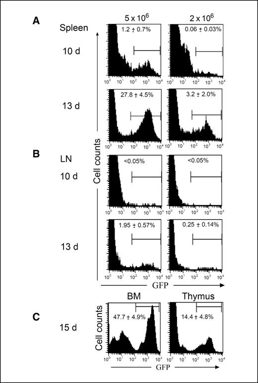 Figure 1. Intravenous injection of RMA/RG cells leads to tumors in lymphoid organs. Ten and 13 d after i.v. injection of either 2 or 5 × 106 of RMA/RG cells, GFP+ tumor cells in spleens (A) and lymph nodes (LN, B) were determined by flow cytometry as described in Materials and Methods (n = 4). C, GFP+ tumor cells in bone marrow (BM) and thymus were also determined at day 15 from mice given 2.5 × 106 of RMA/RG tumor cells (n = 3). Numbers shown are mean ± SE. Bars represent GFP positive cells.