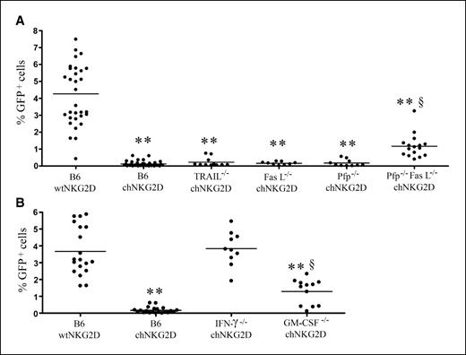Figure 6. The effector mechanisms of chNKG2D T cell–mediated therapeutic effects in vivo. A, tumor-bearing mice that were inoculated i.v. with 2.5 × 106 RMA/RG cells on day 0 were treated with a single dose of chNKG2D T cells (7.5 × 106) derived from either wild-type B6, Pfp−/−, FasL−/−, TRAIL−/−, or Pfp−/−FasL−/− mice at day 2. B, tumor-bearing mice that were inoculated i.v. with 2.5 × 106 RMA/RG cells on day 0 were treated with a single dose of 7.5 × 106 chNKG2D T cells derived from either wild-type B6, IFN-γ−/−, or GM-CSF−/− mice on day 2. wtNKG2D T cells from B6 mice were used as negative controls. The percentages of GFP+ cells in spleens were determined by flow cytometry on day 13. Points, data pooled from two independent experiments. Significance was determined by ANOVA. **, P < 0.01, compared with B6 wtNKG2D T cell treatment; §, P < 0.01, compared with B6 chNKG2D T cell treatment.