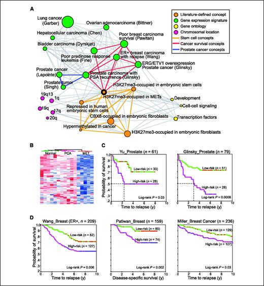 Figure 2. The Polycomb repression signature predicts clinical outcome of prostate and breast cancer patients. A, network view of the molecular concept analysis of our “H3K27me3-occupied genes in metastatic prostate cancer” concept (orange node with black ring). Each node represents a molecular concept or set of biologically related genes. The node size is proportional to the number of genes in each concept. Each edge represents a statistically significant enrichment (P < 1 × 10−5; Supplementary Table S1). Enrichments with “stem cell concepts” are indicated by orange edges, enrichments with “cancer survival” concepts by red edges, and enrichments for genes down-regulated in metastatic prostate cancer concepts by blue edges. B, heatmap of 87 Polycomb repression signature genes that are occupied by H3K27me3 and repressed in metastatic (MET) relative to clinically localized (PCA) prostate cancer and benign prostate tissue. Rows represent genes and columns represent samples. C, two main clusters derived from the Yu et al. prostate cancer training data set (13), and the predicted high-risk and low-risk groups for the Glinsky et al. validation data set (14) differed on patients' 10-year metastasis-free survival. Hierarchical clustering of the training data set and k-nearest neighbor classifier prediction of the validation data set were evaluated in the space of 87 Polycomb repression signature genes, thus defining a low-risk group (green line) and a high-risk group (red line). The survival difference was assessed by Kaplan-Meier analysis and the P value was reported by log-rank test. Dashed line, median survival time of applicable groups. For each data set the number of primary tumors is indicated. D, two clusters derived from Wang et al. estrogen receptor–positive breast cancer training data set (15) and the predicted high-risk and low-risk groups for the validation Pawitan et al. (16) and Miller et al. (17) breast cancer data sets have significantly different patient outcomes. Green lines, low-risk groups; red lines, high-risk groups.