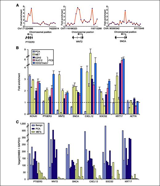 Figure 3. Polycomb repression signature genes are occupied and silenced by PRC2 in metastatic, but not benign or localized, prostate cancer. A, the H3K27me3 ChIP signals from ChIP-on-chip analysis of metastatic prostate cancer tissues. The plots show unprocessed enrichment ratios (ChIP-enriched versus input DNA) for all probes within a genomic region. Chromosome positions are from National Center for Biotechnology Information build 35 of the human genome. Genes are shown below plots with exons represented by black bars. The start and direction of transcription are noted by arrows. B, analyses of gene promoters for PRC2 and H3K27me3 occupancy in one localized (PCA) and three metastatic (MET) prostate cancer tissues and the PC3 prostate cancer cell line. ChIP-PCR was done in triplicates using amplified ChIP products for enrichment of ChIP over whole-cell extract chromatin. C, quantitative RT-PCR analysis of gene expression in three benign, five prostate cancer, and seven metastatic tissues. The expression was normalized to the levels of glyceraldehyde-3-phosphate dehydrogenase (GAPDH) and hydroxymethylbilane synthase (HMBS).