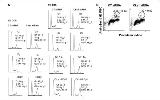 Figure 3. Cks1 depletion leads to arrest during mitotic entry. E2 and HRGβ1 are incapable of stimulating cell cycle progression in Cks1-depleted cells. A, control or Cks1-specific siRNA duplexes were applied to cells for 24 h, followed by incubation in CCS medium or FBS-containing medium with the indicated supplements for 48 h. Cells were harvested, stained with propidium iodide, and analyzed by FACS. Representative FACS histograms showing cell accumulation in G2-M in Cks1-depleted groups. B, Cks1-depleted cells do not progress into mitosis. Control or Cks1-specific siRNA duplexes were applied to cells for 24 h, followed by harvest at 48 h posttransfection. For quantifying mitotic cells, samples were stained with an antibody specific for phosphorylation at Ser10 in histone H3 and analyzed by flow cytometry.