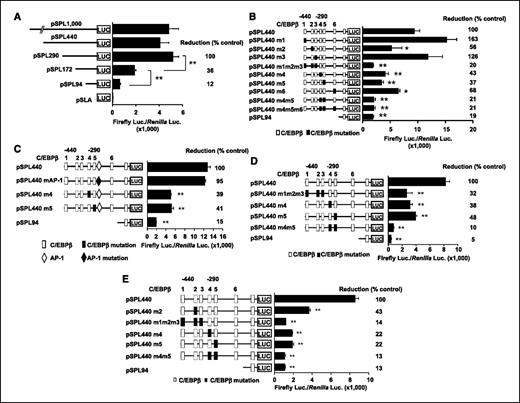 Figure 3. Functional analysis of the elafin promoter. A, left, the constructs of the human elafin-luciferase fusion reporter plasmid, termed pSPL1000, and its 5′ deletion mutants, termed pSPL440, pSPL290, pSPL172, pSPL94, and pSLA. 76NE6 cells were transfected with the different reporter constructs together with the pRL-TK vector, which served as an internal control. The firefly luciferase activity of each sample was normalized by its Renilla luciferase activity, and this value has subsequently been compared with the mean value of the pSPL290 to acquire the reduction (% control) of each construct (right). B-E, left, the construct of each mutant is identical to pSPL440, except for the mutations in C/EBPβ or AP-1 binding sites indicated. These mutants were generated by site-directed mutagenesis. 76NE6 cells (B and C), 76N Y54H (D), and MCF-10A (E) were transfected with the different reporter constructs together with the pRL-TK vector. The firefly luciferase activity normalized by its Renilla luciferase activity was compared with the mean value of the pSPL440 to acquire the reduction (% control) of each construct (right). □, wild-type C/EBPβ binding sites; ▪, mutant C/EBPβ binding sites. ◊, wild-type AP-1 binding sites; ⧫, mutant AP-1 binding sites. Columns, means; bars, SD; n = 3. *, P < 0.05; **, P < 0.01.