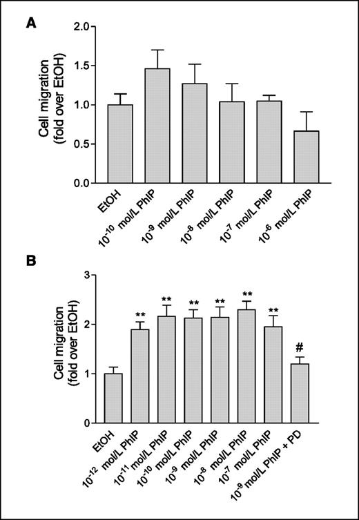 Figure 2. Effect of PhIP on migration of MCF10A cells (A) and PC-3 cells (B). Cells were placed in the upper compartment of the migration chamber in serum-free medium containing PhIP or ethanol for 24 h. Cells that had migrated to the underside of the chamber were detached from the membrane, lysed, and quantitated by fluorescent staining with CyQuant dye. In some experiments, the MEK1/2 inhibitor PD98059 was added (50 mmol/L). Columns, mean of three separate experiments each done in five replicate wells; bars, SE. **, P < 0.01, compared with ethanol control; #, P < 0.01, compared with PhIP 10−9 mol/L alone (ANOVA followed by Dunnett multiple comparisons test).