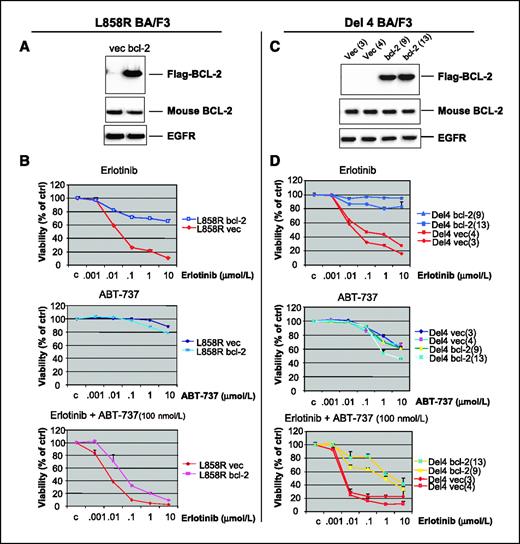 Figure 1. BCL-2 blocks erlotinib killing via mitochondrial apoptotic pathway; ABT-737 restores sensitivity to erlotinib. A, Western blot analysis of FlagBCL-2 and EGFR expression levels in L858R BA/F3 mutant clones transfected with control vector (vec) or pCI-Neo.FlagBCl-2 (bcl-2). Endogenous mouse BCL-2 was also shown. B, cell viability of L858R BA/F3 vec or bcl-2 cells treated with increasing doses in erlotinib (top), ABT-737 (middle), or the combination of erlotinib and ABT-737 (100 nmol/L; bottom) after 48-h incubation with compound(s). Cells were stained with fluorescent conjugates of Annexin V for flow cytometry analysis. Viability was shown as a percentage of control (DMSO treated) cells; error bars, SD of experiments done in triplicate. C, Western blot analysis of FlagBCL-2 and EGFR expression levels in Del4 BA/F3 mutant clones transfected with the following control vectors: vec (3), vec (4) or pCI-Neo.FlagBCl-2 [bcl-2 (9)], and bcl-2 (13). Endogenous mouse BCL-2 in those cells was also shown. D, cell viability assays performed in Del 4 BA/F3 cells (clone types as indicated) as in B with increased doses in erlotinib (top), ABT737 (middle), or the combination of erlotinib (increased doses) and ABT-737 (100 nmol/L; bottom).