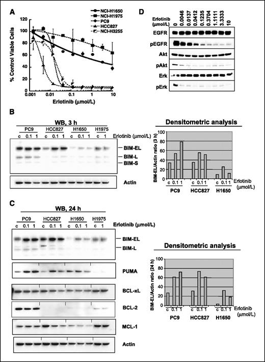 Figure 4. Proapoptotic BH3-only protein BIM is markedly increased by erlotinib in sensitive cell lines (PC9 and HCC827) but not in resistant ones (H1650 and H1975). A, NSCLC cells (PC9, HCC827, H1650, H1975, and H3255) were treated with the indicated doses of erlotinib. Viability was measured by CCK-8 colorimetric assay (Dojindo). B and C, NSCLC cells (PC9, HCC827, H1650, and H1975) were treated with indicated doses of erlotinib for 3 h (B) and 24 h (C) and harvested for Western blot analysis for BCL-2 family proteins. Actin is a loading control. BIM-EL/Actin ratio for the 3-h blotting was obtained after performing densitometric analysis on the respective blot. BIM-EL/Actin ratio for the 24-h blotting was shown as a mean of two independent blotting (left; data not shown). D, cell line H1650 was treated with the indicated concentrations of erlotinib. Whole cell lysates were evaluated for protein levels and phosphorylation status of EGFR, AKT, and Erk as indicated by immunoblot. C, DMSO-treated control cells.
