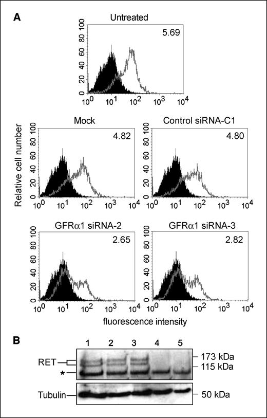 Figure 2. MCF7 cells express GFRα1 and RET. MCF7 cells were either untreated, mock transfected, or transfected with siRNA and cultured for 72 h. A, flow cytometry: Cells were detached and stained with isotype-matched control antibody (solid profiles) or anti-GFRα1 antibody (open profiles) followed by Alexa 488–conjugated antigoat immunoglobulin. Data shown are from untreated cells, mock-transfected cells, or cells transfected with scrambled control siRNA (C1) or two independent GFRα1 siRNAs (siRNA-2 and siRNA-3). Values given are for the relative fluorescence index. Two additional independent GFRα1 siRNAs gave an identical reduction in GFRα1 expression with RFI values of 3.07 and 2.65 (data not shown). B, Western blotting: cells were left untreated (lane 1), mock transfected (lane 2), or transfected with scrambled siRNA C1 (lane 3), RET siRNA-5 (lane 4), or RET siRNA-6 (lane 5) for 72 h before lysates were subject to immunoblotting with anti-RET antibody (top) and anti–α-tubulin antibody (bottom) followed by HRP-conjugated antirabbit and antimouse immunoglobulin. *, nonspecific band.