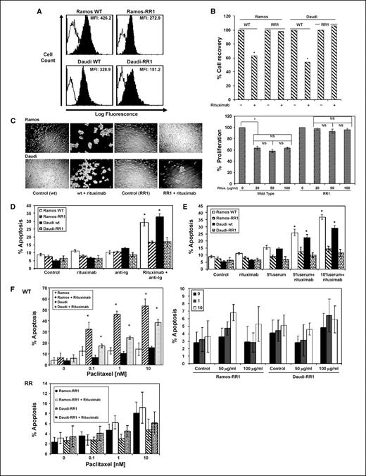 Figure 1. A, surface expression of CD20 on RR1 clones. Cells (2 × 106) were stained with 1 μg anti-CD20 mAb (IgG1 subtype; solid black lines) or isotype control (pure IgG1; gray lines) and subsequently with FITC-labeled secondary antibodies and then analyzed by FACS. The intensity of surface CD20 expression was measured by the mean fluorescence intensity (MFI; n = 3). B, rituximab inhibits the proliferation of the WT but not the RR clones. Cells were either left untreated or treated with various concentrations of rituximab (20, 50, and 100 μg/mL, 24 h) and 104 cells in triplicates were used in standard XTT assay. NS, not significant. C, an aliquot of the above samples was examined microscopically to assess the ability of rituximab to form homotypic aggregation of the clones. D, failure of cross-linked rituximab to induce apoptosis in RR clones. Cells (2 × 106) were either left untreated or treated with antihuman immunoglobulin (Ig), rituximab, or the optimal concentration of cross-linked rituximab (50 μg/mL antihuman immunoglobulin + 20 μg/mL rituximab, 24 h) and subjected to propidium iodide assay for the percentage of apoptotic cells. E, failure of rituximab to mediate CDC in the RR clones. Cells (2 × 106) were either left untreated or treated with human antibody serum (5% and 10%), rituximab, or the combination for 24 h and subjected to propidium iodide staining (without fixing) for the percentage of dead cells. F, failure of rituximab to chemosensitize the RR clones. Cells (2 × 106) were either left untreated or pretreated with various concentrations of rituximab (20, 50, and 100 μg/mL, 24 h). Then, the cells were washed and then grown in complete medium supplemented with paclitaxel (0.1–10 nmol/L, 18 h). Cells were then stained with propidium iodide solution, and apoptosis was assessed by FACS. Samples were set up in duplicates. Columns, mean (n = 2); bars, SD. *, P < 0.05, significant compared with control.