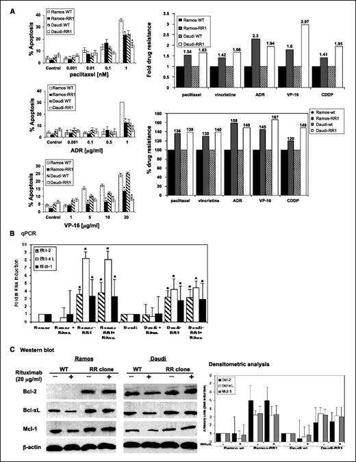 Figure 2. Higher drug resistance and overexpression of the antiapoptotic Bcl-2 family members in the RR clones. A, cells (2 × 106) were either left untreated or treated with various concentrations of paclitaxel (1.0, 10, and 20 μg/mL), Adriamycin (0.5, 1.0, and 2.0 μg/mL), cisplatin (CDDP; 1.0, 10, and 20 μg/mL), vincristine (0.1, 0.5, and 1.0 μg/mL), and VP-16 (1.0, 10, and 20 μg/mL) for 18 h. Then, the cells were stained with propidium iodide solution, and apoptosis was assessed by FACS. Samples were set up in duplicates. Columns, mean (n = 2); bars, SD. (Fold drug resistance was measured using the highest percentage of apoptosis induced by the highest concentration of the drug in the WT cells as 100% and calculating the required drug concentration to achieve the same level of apoptosis in the clones.) B, total RNA of various culture conditions was extracted from 107 cells (as indicated) and converted to cDNA. cDNA (2.5 μg) was used in qPCR analysis to determine the transcript levels. Levels of GAPDH were confirmed for equal loading. Columns, mean of triplicate samples; bars, SD. C, whole-cell extracts (40 μg) of WT cells and RR clones (± 20 μg/mL rituximab, 24 h) were subjected to immunoblotting for protein levels. Levels of β-actin were used for equal loading (n = 2). *, P < 0.05, significant compared with control.