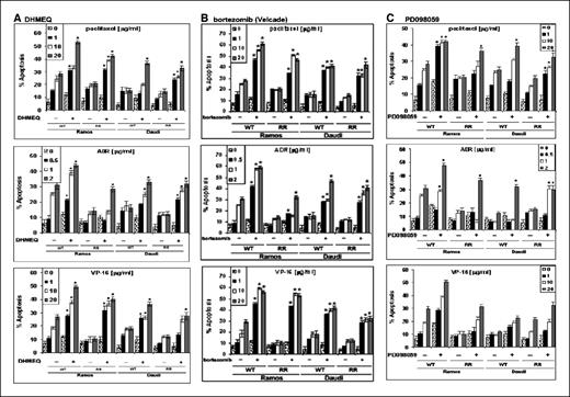 Figure 4. Chemosensitization of the RR clones by chemical inhibitors. Cells (2 × 106) were either left untreated or pretreated with (A) DHMEQ (WT, 10 μg/mL; clones, 20 μg/mL), (B) bortezomib (WT, 4 μmol/L; clones, 8 μmol/L), or (C) PD098059 (WT, 15 μg/mL; clones, 30 μg/mL) for 2 h. Cells were then incubated with paclitaxel (1.0, 10, and 20 μg/mL), Adriamycin (ADR; 0.5, 1.0, and 2.0 μg/mL), cisplatin (1.0, 10, and 20 μg/mL), vincristine (0.1, 0.5, and 1.0 μg/mL), and VP-16 (1.0, 10, and 20 μg/mL) for an additional 18 h and subjected to DNA fragmentation assay. The samples were set up in duplicates. Columns, mean of two independent experiments; bars, SD. *, P < 0.05, significant compared with drug treatment alone.