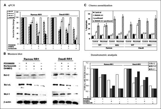 Figure 5. Inhibition of the expression of antiapoptotic factors by chemical inhibitors. RR1 clones were either left untreated or treated with DHMEQ (20 μg/mL), bortezomib (8.0 μmol/L), and PD098059 (30 μg/mL). A, 2.5 μg cDNA was used in qPCR using gene-specific primers. Levels of GAPDH were confirmed for equal loading. Samples were set up in duplicates. Columns, mean (n = 2); bars, SD. B, total cell lysates (40 μg) were subjected to immunoblotting for Bcl-2, Bcl-xL, and Mcl-1. Levels of β-actin were used for equal loading (n = 2). C, role of antiapoptotic Bcl-2 members in chemosensitization. Cells were either left untreated or pretreated with 2MAM-A3 (WT, 15 μg/mL; clones, 35 μg/mL, 7 h). The cells were then washed, treated with paclitaxel (10 nmol/L, 18 h), and subjected to DNA fragmentation assay. Samples were set up in duplicates. Columns, mean of two independent experiments; bars, SD. *, P < 0.05, significant compared with paclitaxel alone.